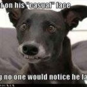 Meet your Posher, Barbara